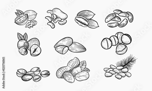 Nuts set sketch style food illustrations. Hand drawn beautiful pictures with differend nuts.