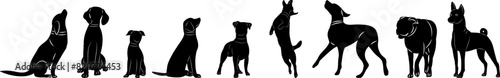 set of dogs stand in a row silhouette on a white background vector