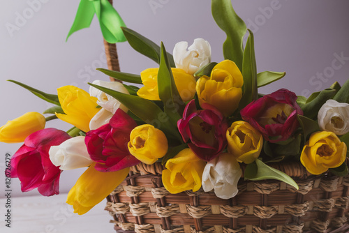 Beautiful multicolored, yellow, white, red tulips in a basket close-up on a light background. Greeting card for the holiday. Macro photography.