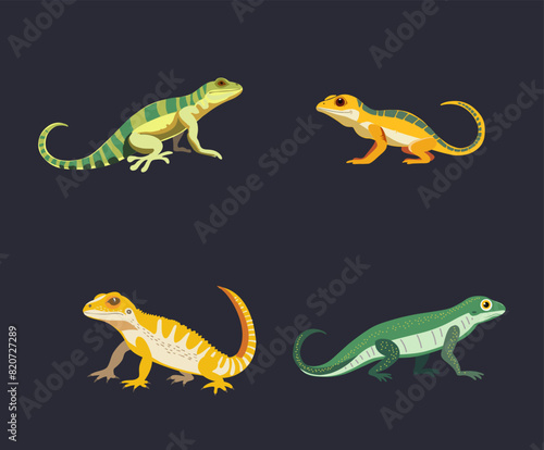 Collection lizards for world lizard day