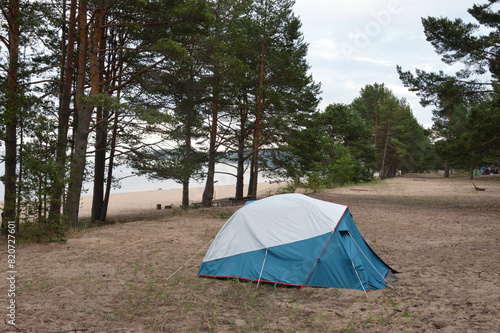Tourist tent on sand in forest.