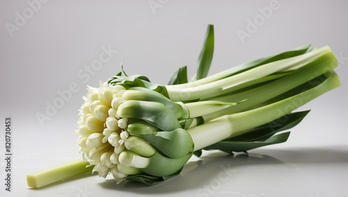 white onions with green stalks bundled on white background photo
