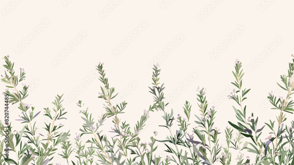 Horizontal herbal backdrop decorated with rosemary 