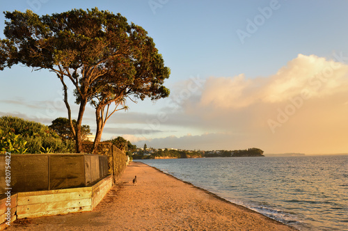 Milford beach and concrete walkway at sunrise. Auckland. photo
