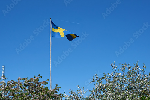 The Swedish flag is on a mast above by flowering plants. Swedish Flag Day. National Day.  
