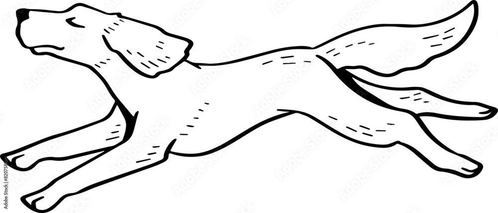 Fototapeta premium cute cartoon dog drawing.