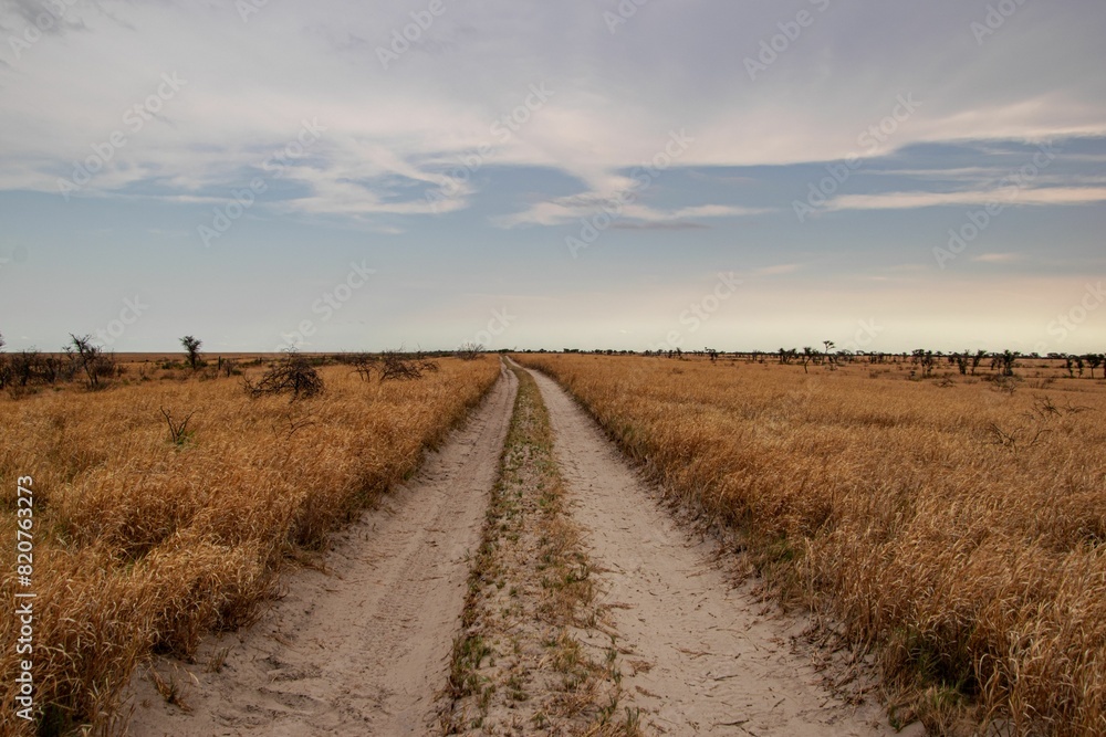 Naklejka premium Scenic landscape featuring a road with dry, golden grass