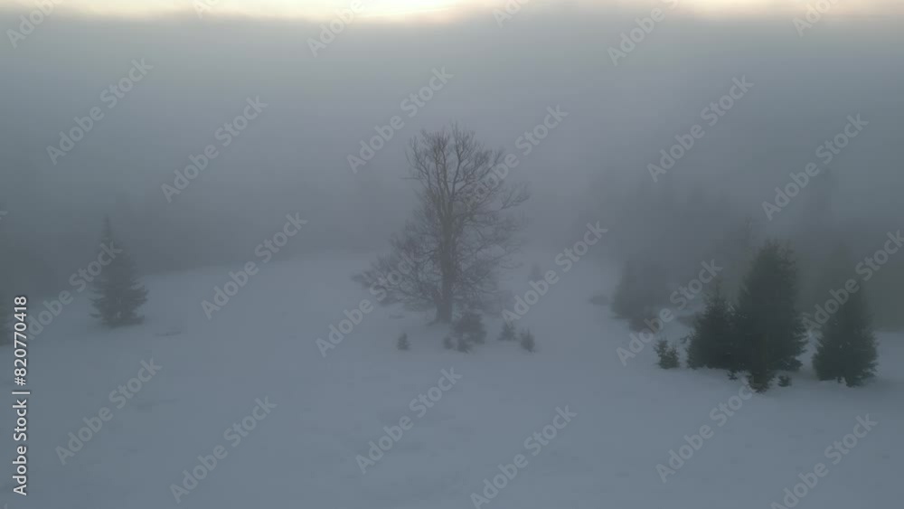 Aerial video of the forest covered with snow on the mountains peak under the sky Aerial video of the forest covered with snow on the mountains peak under the sky