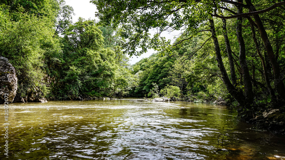 River between forested mountains in northern Spain River between forested mountains in northern Spain