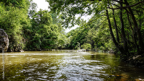 River between forested mountains in northern Spain