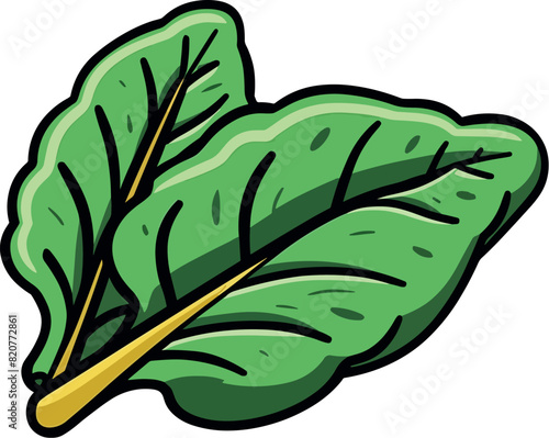 Vector illustration of a beautiful and delicious green chard, bold outline, dark and bright colors