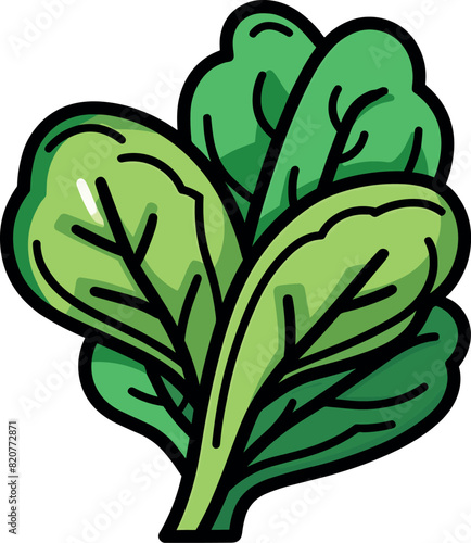 Vector illustration of a beautiful and delicious green chard, bold outline, dark and bright colors