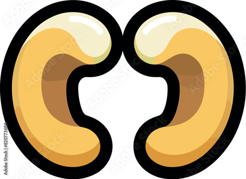 Vector illustration of a beautiful and delicious cashew