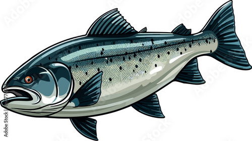 Vector illustration of a salmon fish on a white background.