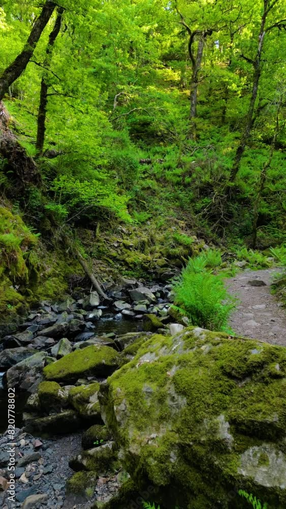 Vertical video of a river surrounded by rocky mountains covered with green grass Vertical video of a river surrounded by rocky mountains covered with green grass