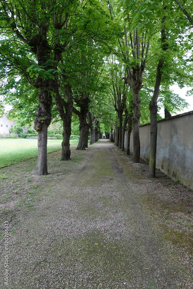 Obraz premium Allée arborée du cimetière de Picpus à Paris