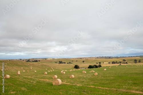 Foto sustainable agriculture Baling hay and silage rolls and bales on a farm