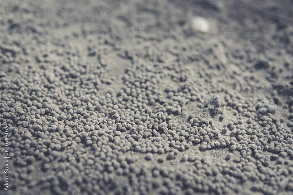 A close-up of the sand balls created by the waves A close-up of the sand balls created by the waves