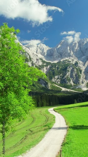 Idyllic green valley with Kamnik-Savinja Alps at background. Summer Alpine landscape of the Ravenska Kocna Valley in Zgornje Jezersko, Slovenia.  photo