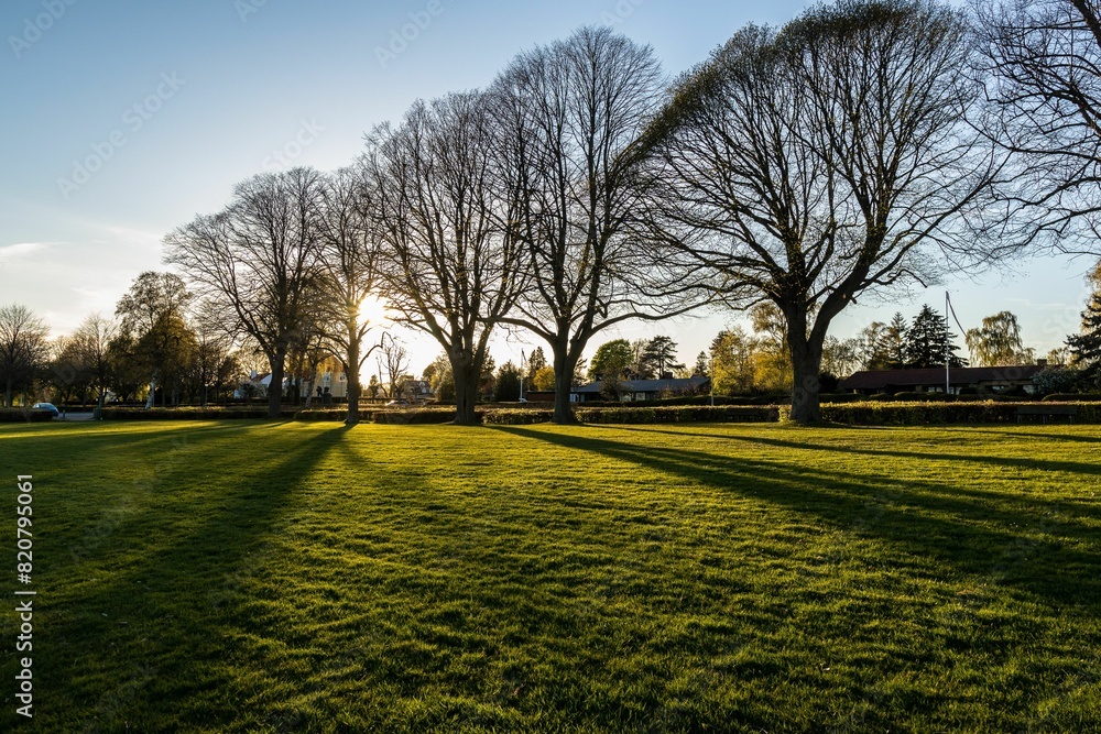 Obraz premium Stunning sunset scene over a park in Denmark with lush green grass and trees on either side