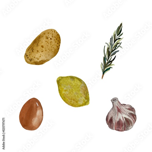 Potato rosemary lemon egg garlic sketch watercolor