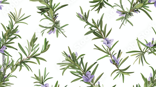 Herbal seamless pattern with rosemary sprigs on white background