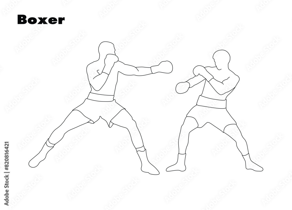 Boxer, white line drawing of a boxer. Isolated vector design.
