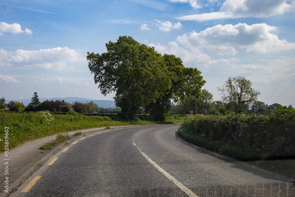 Fototapeta premium road in the countryside
