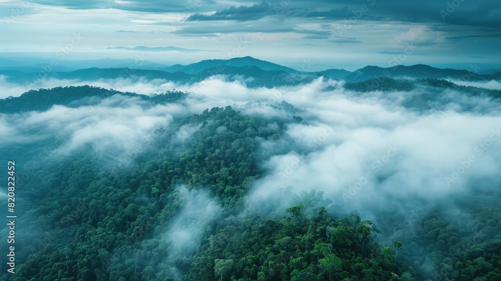 Fototapeta premium Expansive forest under a sea of clouds highlights nature's ability to capture and store carbon, emphasizing environmental balance. Carbon reduction
