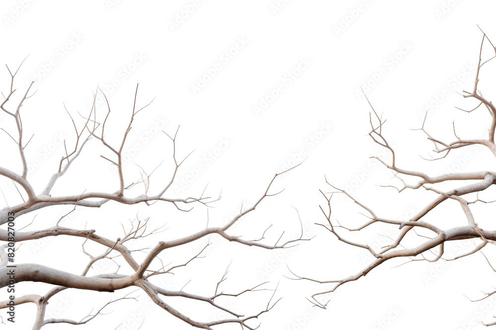 Fototapeta premium The Melodic Muse on a White or Clear Surface PNG Transparent Background.