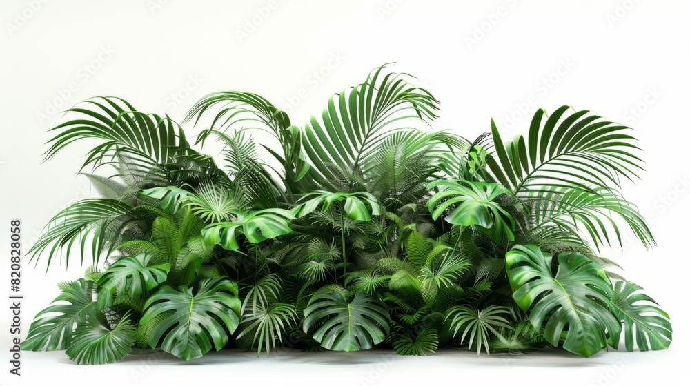 Obraz premium Green palm foliage cut out white background