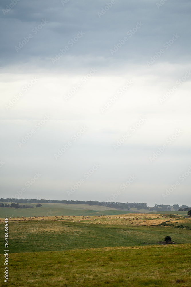 Obraz premium sustainable agriculture Baling hay and silage rolls and bales on a farm