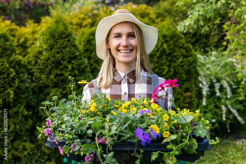 smiling woman standing at home backyard garden and holding box with colorful summer flower seedlings. planting season