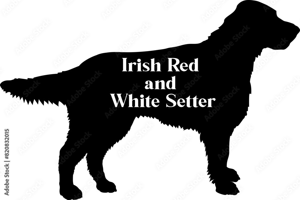 Irish Red and White Setter. Dog silhouette dog breeds logo dog monogram vector Irish Red and White Setter. Dog silhouette dog breeds logo dog monogram vector