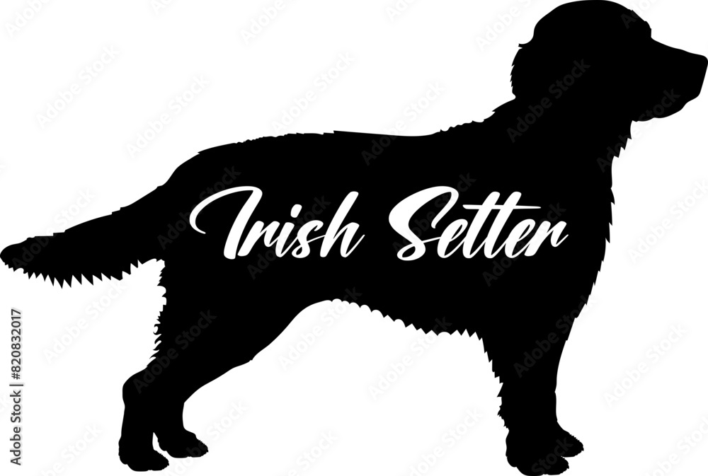 Irish Setter. Dog silhouette dog breeds logo dog monogram vector Irish Setter. Dog silhouette dog breeds logo dog monogram vector