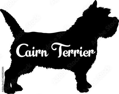Cairn Terrier. Dog silhouette dog breeds logo dog monogram vector