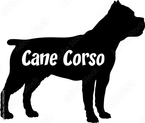 Cane Corso. Dog silhouette dog breeds logo dog monogram vector