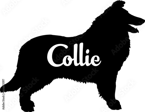  Collie. Dog silhouette dog breeds logo dog monogram vector