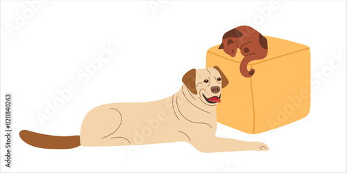 Cat sleeps on pouf and large thoroughbred dog lies nearby on floor. Pets are resting. Comfortable home animals. Vector illustration isolated on white background. Hand draw animal, cartoon character