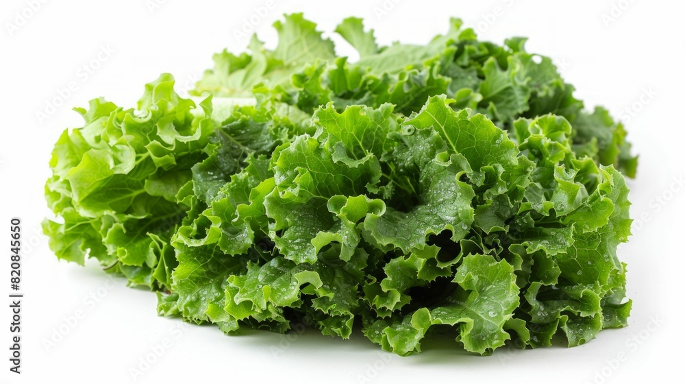 Fresh Green Lettuce Isolated on White Background. Generative ai Fresh Green Lettuce Isolated on White Background. Generative ai