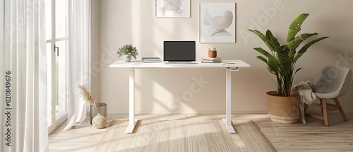 2005 21 A minimalist home office with a white desk, a laptop, and a single decorative plant photo