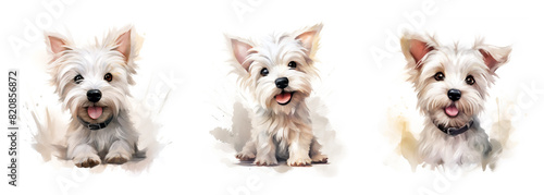 Watercolor image of dogs. Picture. Pet. A cute, cute, cheerful dog. For printing on T-shirts, hoodies. Scrubbooking. Dog breed West Highland White Terrier. Texture.