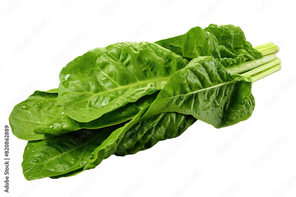 Whispers of Nature: Fresh Spinach Leaves Dance on a Clean Canvas on Transparent PNG Background... Whispers of Nature: Fresh Spinach Leaves Dance on a Clean Canvas on Transparent PNG Background...