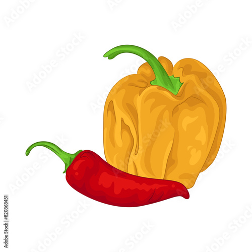 Illustration of chili and bell pepper 