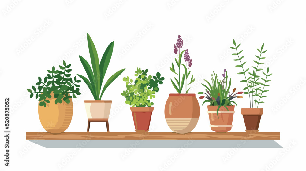 Home potted plants on wall shelf. Decorative indoor