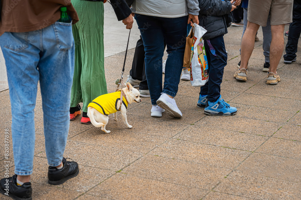 Line of people standing in row waiting to get into an event