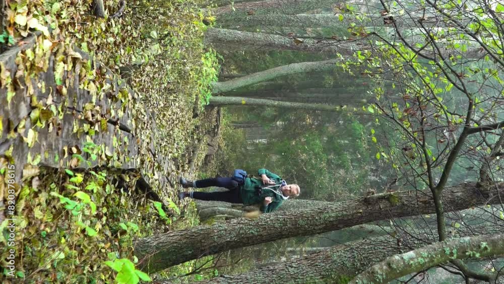A middle-aged man with a backpack walks along an ecological natural educational trail through the northern autumn forest. Watching wildlife with binoculars in a nature park in Finland. A middle-aged man with a backpack walks along an ecological natural educational trail through the northern autumn forest. Watching wildlife with binoculars in a nature park in Finland.