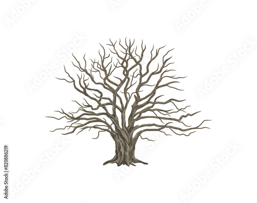 dry tree illustrations, dead oak tree