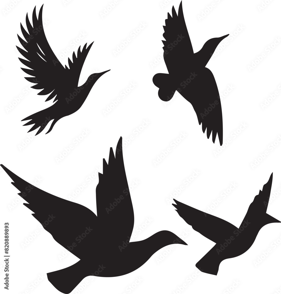 Fototapeta premium Birds flying image - Silhouette of birds -Vector Image of bird