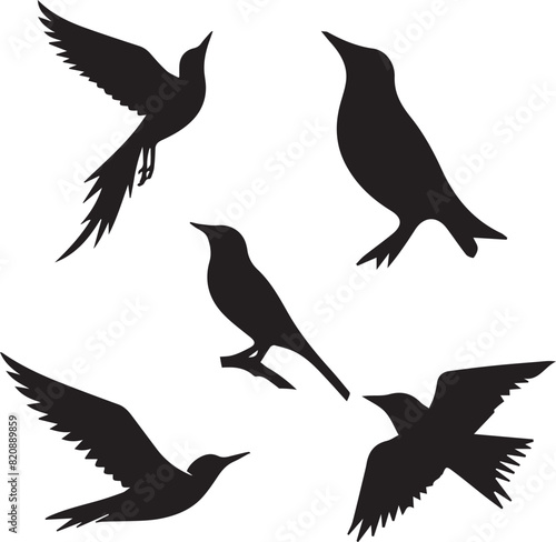 Canvas Print Birds flying image - Silhouette of birds -Vector Image of bird